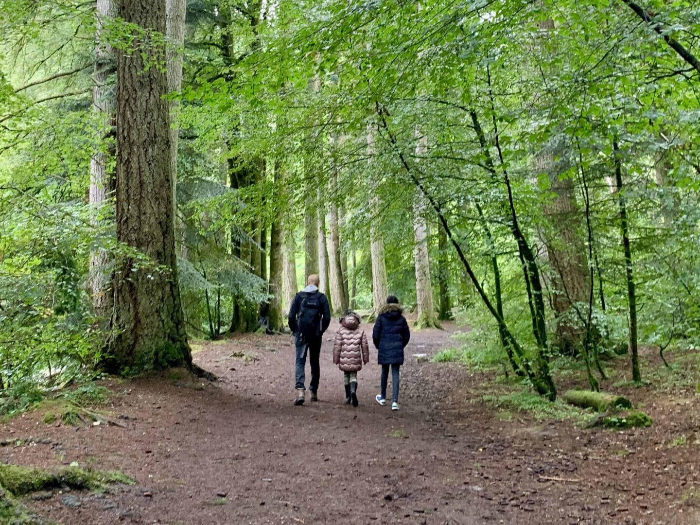 father and two daughters walking through a wooded forest