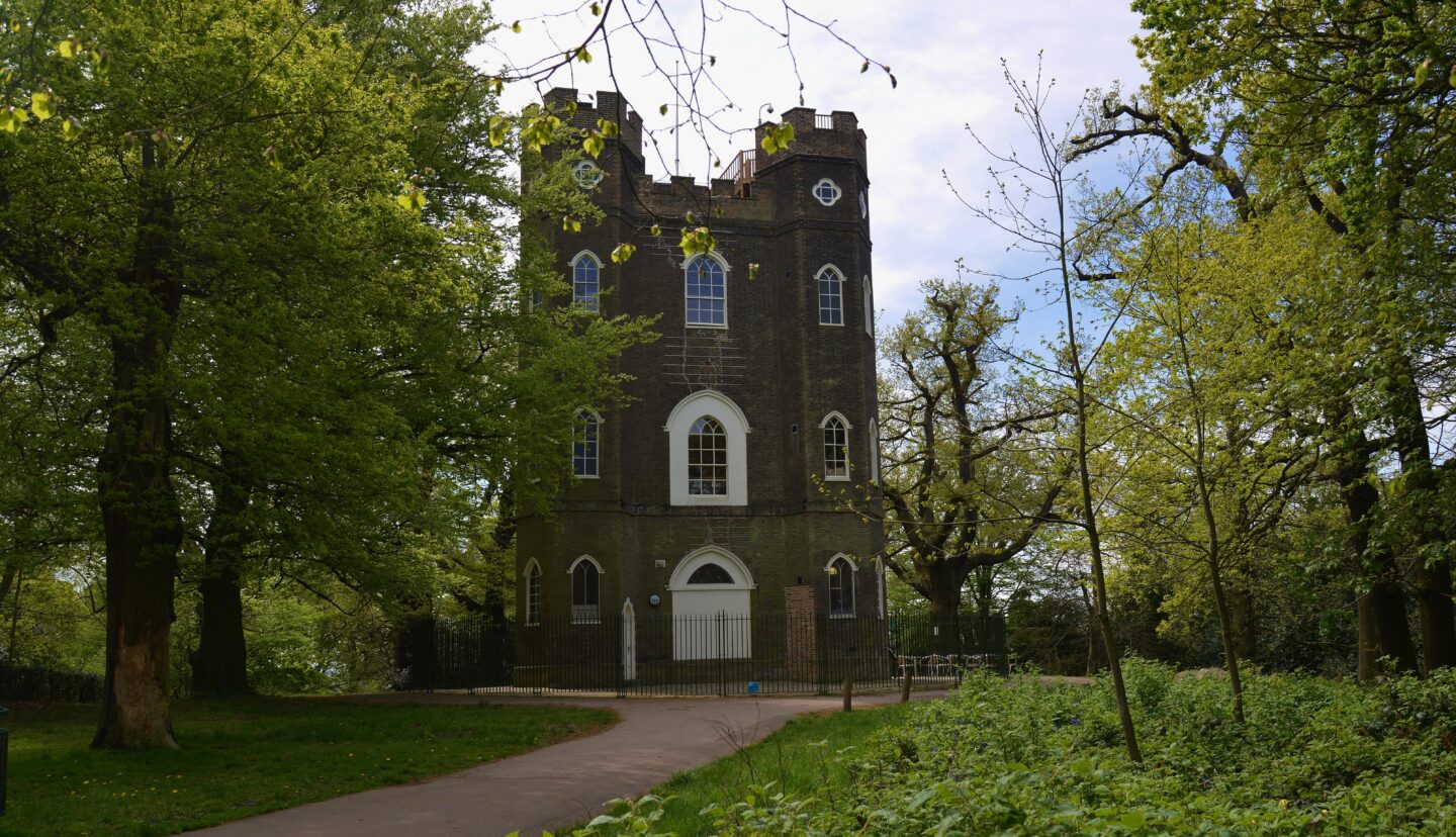view of a castle within a woodland with white windows and turrets