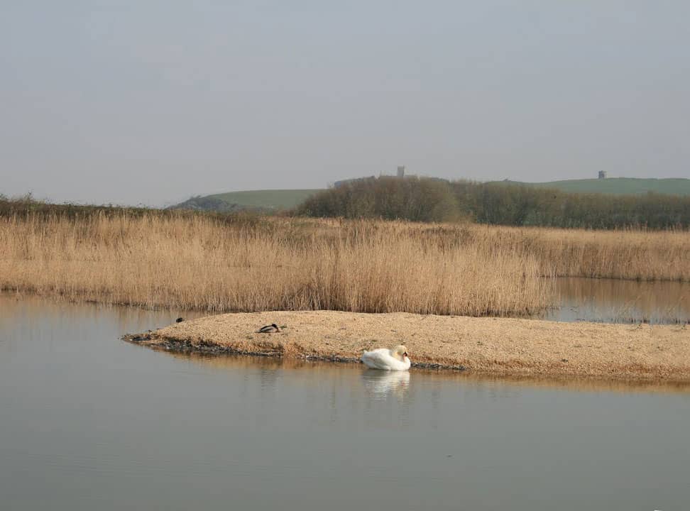 Bleadon Levels Nature Reserve