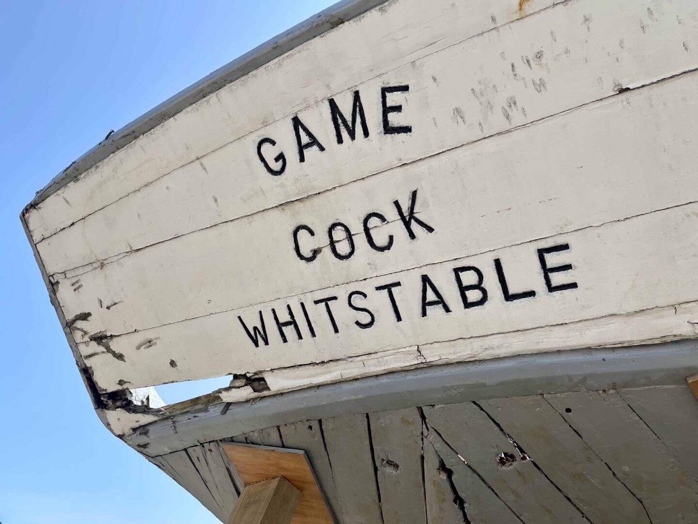 The Gamecock in Whitstable
