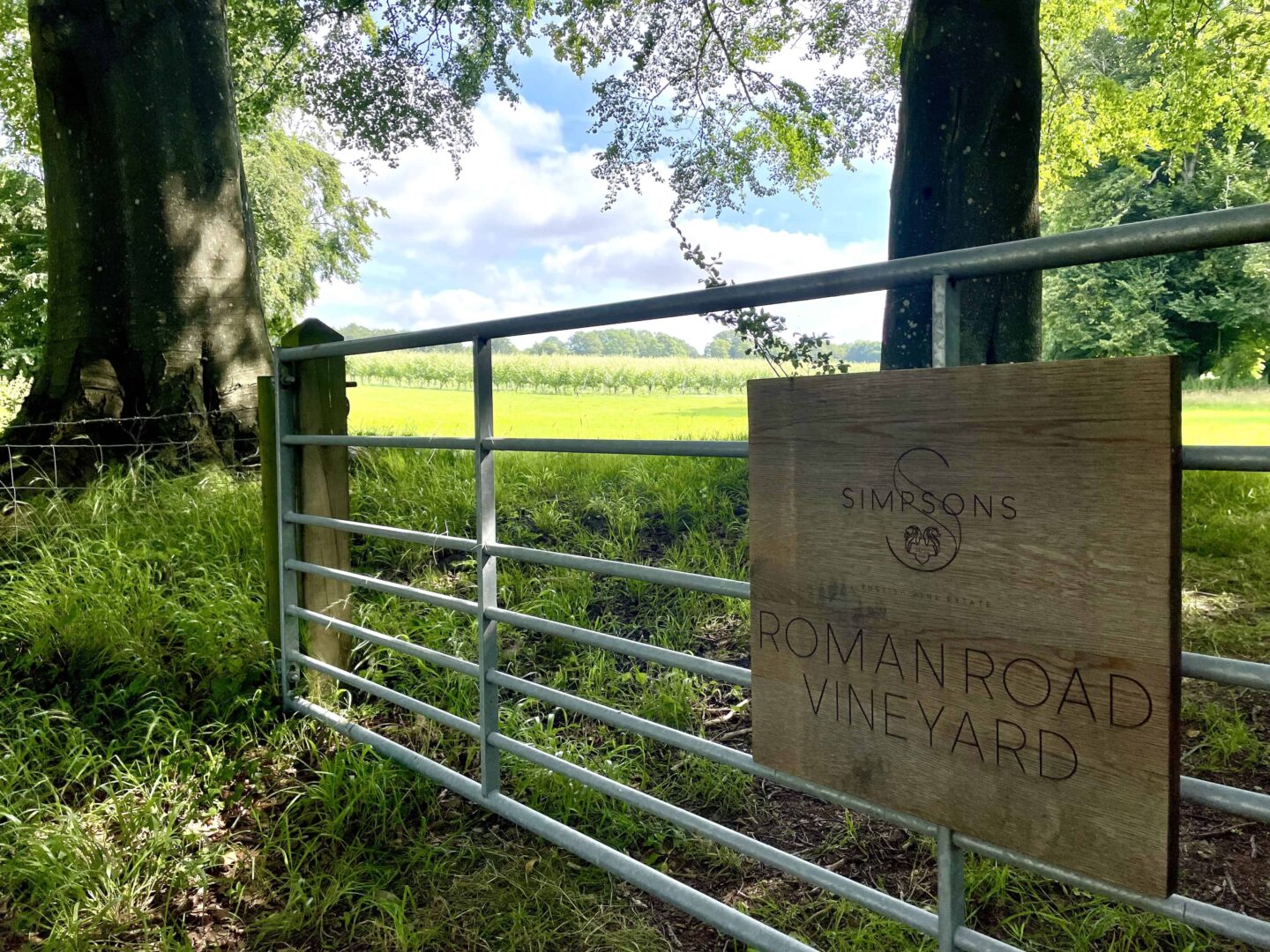 Simpsons Wine Estate