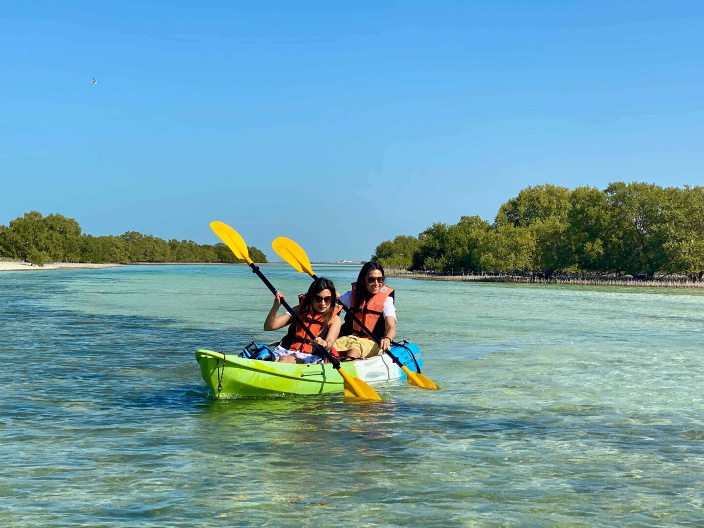 Best Places to Visit in Abu Dhabi - Jubail Mangrove Park
