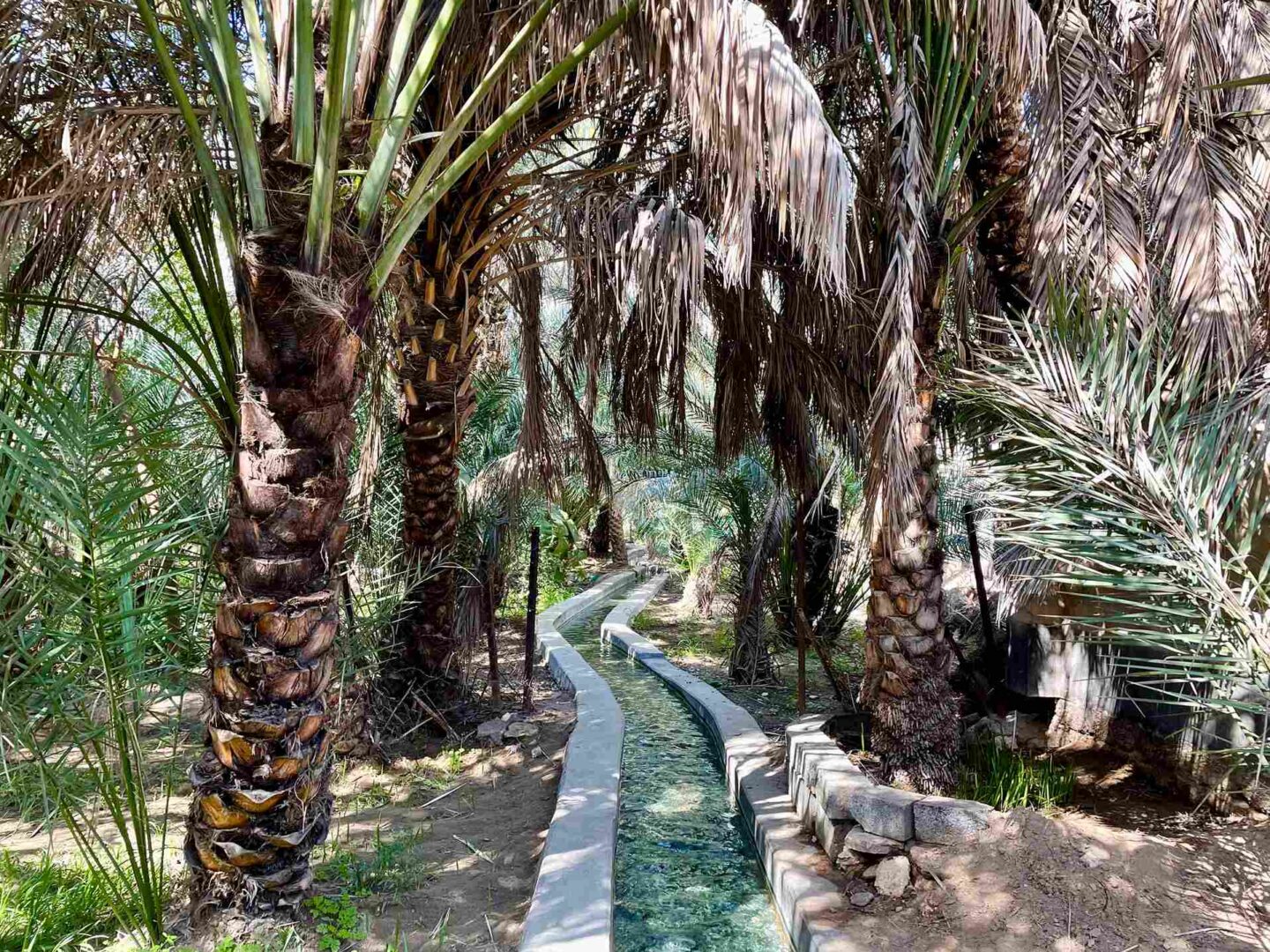 Best Places to Visit in Abu Dhabi - Al Ain Oasis