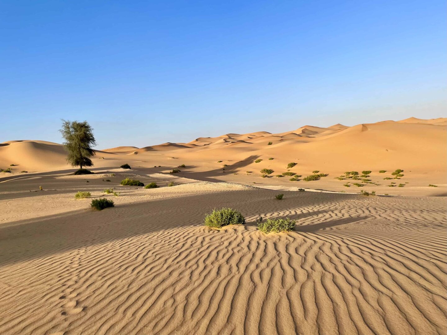 Best Places to Visit in Abu Dhabi - Telal Resort