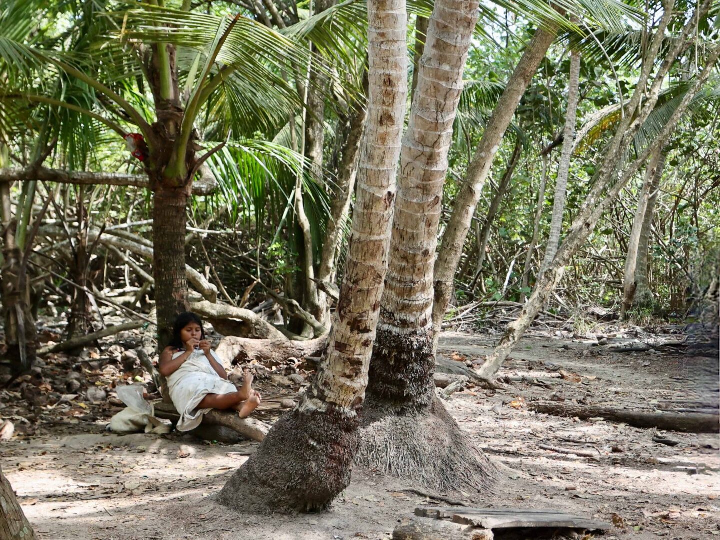 Kogui in Tayrona National Park