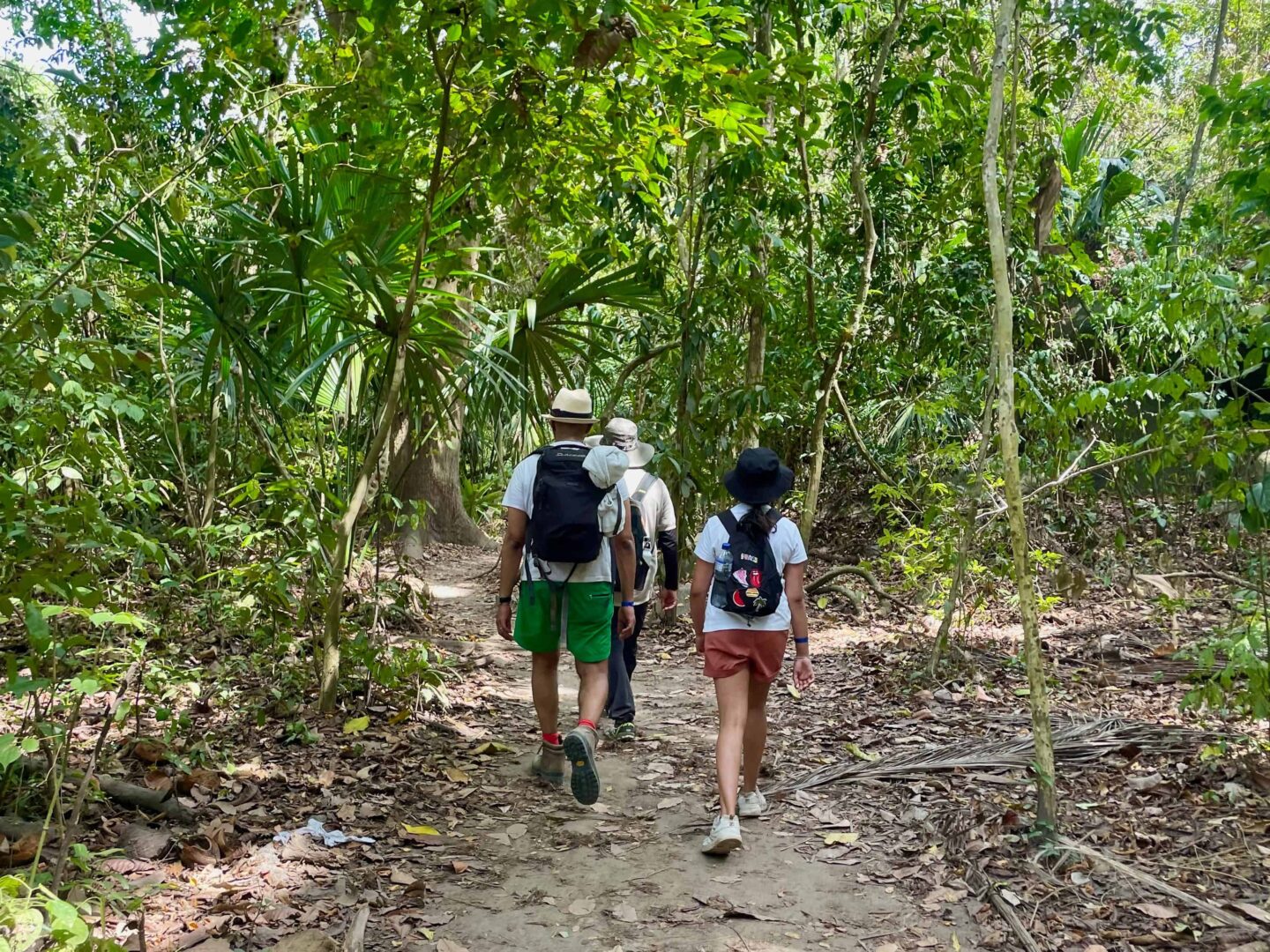 Hiking in Tayrona National Park