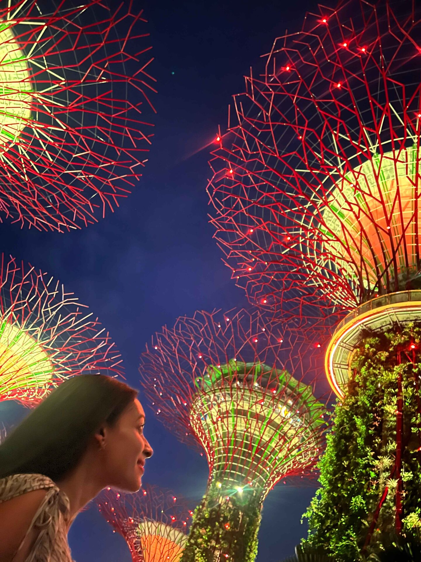 Best things to do in Singapore - Gardens by the bay