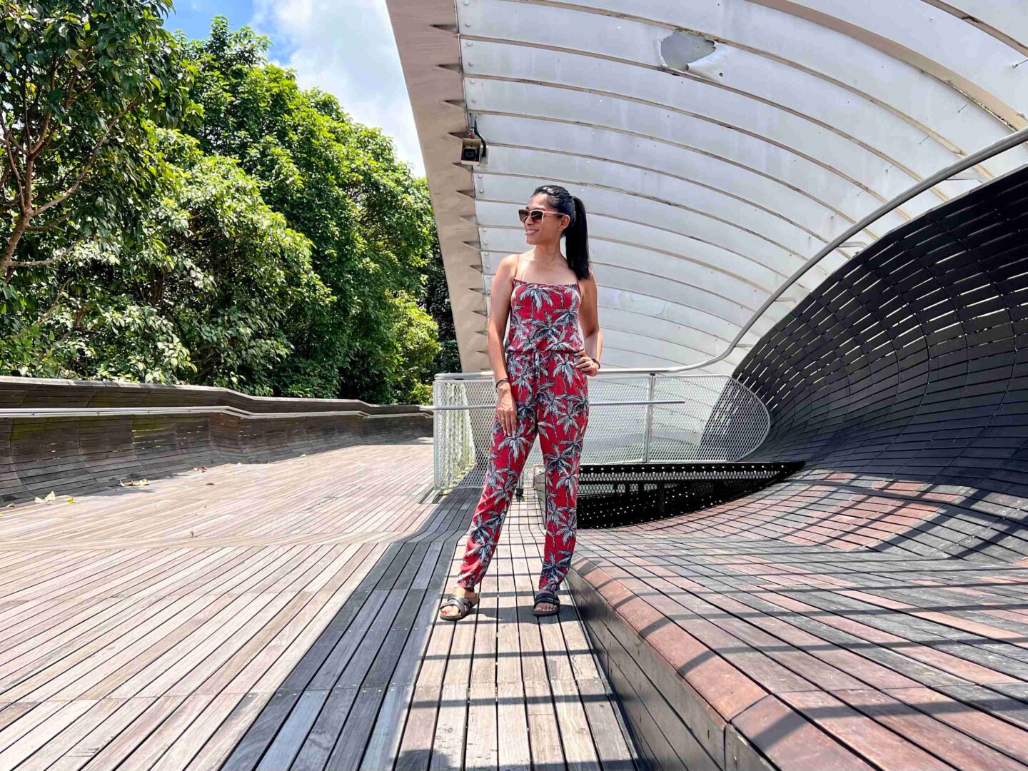 Best things to do in Singapore - Henderson Waves Bridge