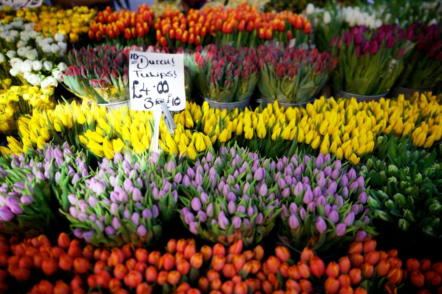 Columbia Road Flower Market - Best Things to do in Shoreditch