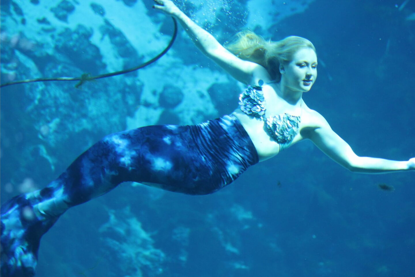 Day Trip from Orlando - Weeki Wachee Springs