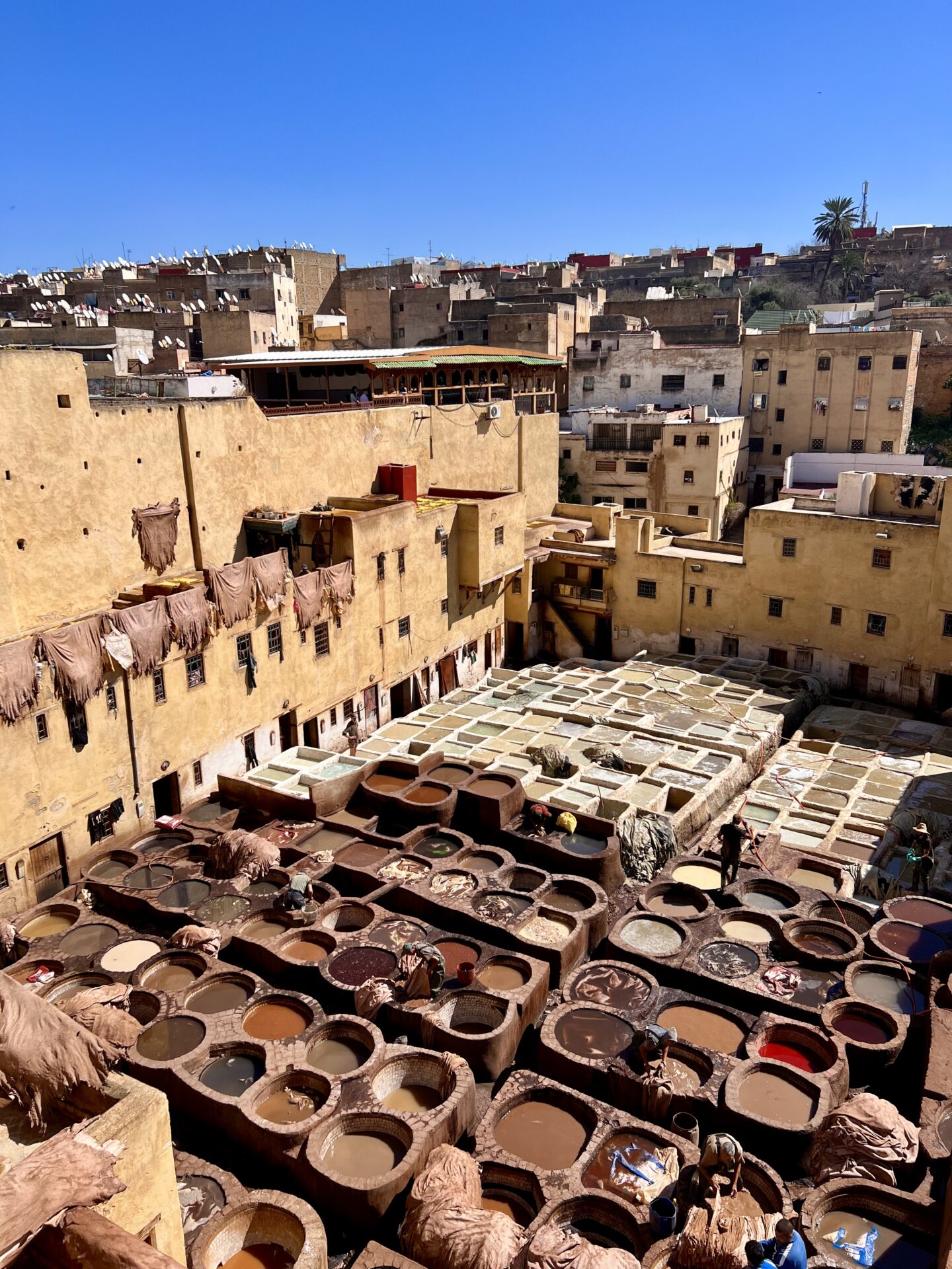 16th-century tannery in Fez