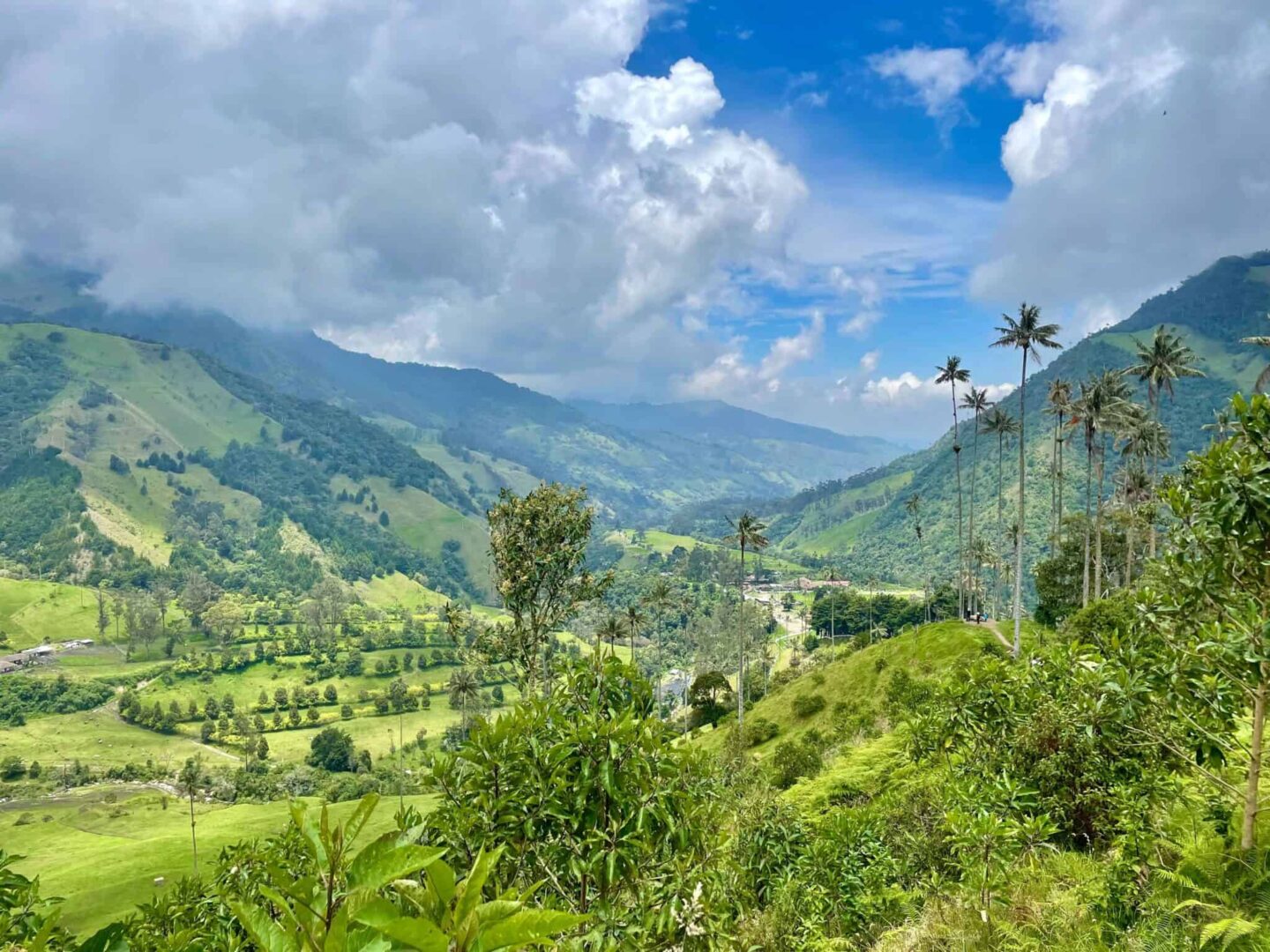 Armenia's coffee region