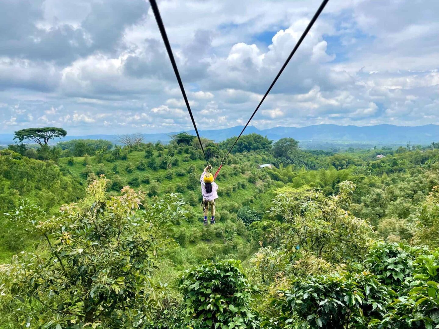 Ziplining across coffee plantations