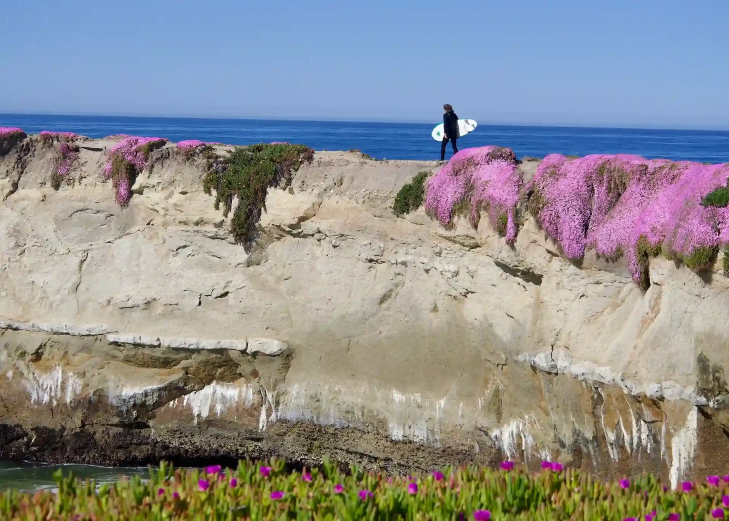 Surfer on Lighthouse Point Santa Cruz