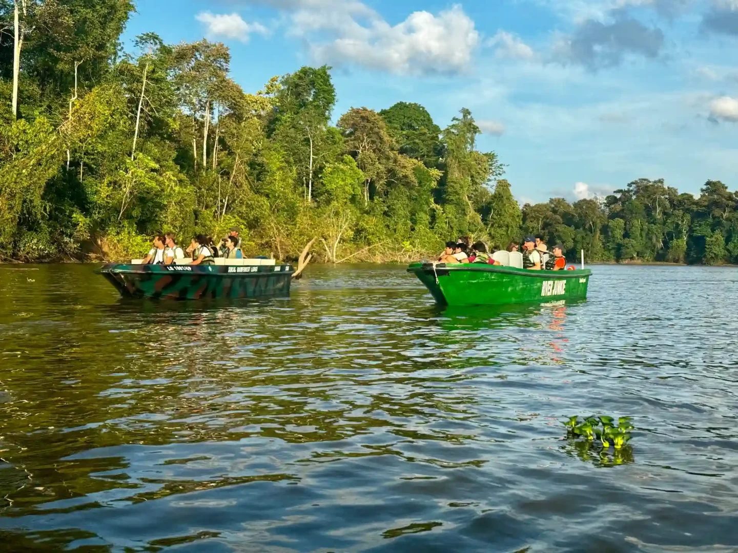 Kinabatangan river cruise